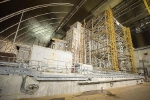 Nấm ăn phóng xạ ở nhà máy hạt nhân Chernobyl