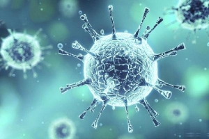 Virus corona có thể sống trong cơ thể một tháng