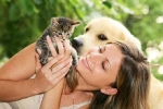 Chuyên gia y tế giải đáp thắc mắc 'thú cưng' chó, mèo lây truyền virus corona