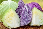 10 lợi ích sức khỏe đã được kiểm chứng của rau bắp cải