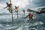 Nghệ thuật ngồi cọc kheo câu cá ở Sri Lanka