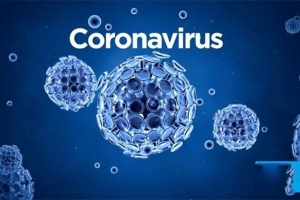Chuyên gia hàng đầu chỉ ra ba điều khiến coronavirus sợ hãi