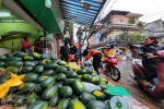 Đại sứ quán Hàn Quốc chung tay giải cứu hoa quả tươi Việt Nam bị 'ế ẩm' do dịch Covid-19