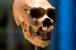 Tìm thấy bằng chứng về 'quần thể ma' của người cổ đại