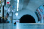 Bức ảnh hai chú chuột 'đánh nhau' ở ga tàu điện ngầm được độc giả yêu thích nhất