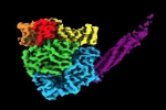 Cấu trúc nguyên tử 3D của nhóm virus gây bệnh truyền nhiễm