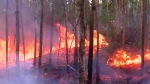 Phú Giáo: Tích cực phòng chống cháy rừng.