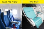 Tại sao ghế máy bay thường có màu xanh, lời giải thích có thể khiến bạn bất ngờ
