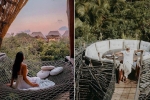 Resort trên cây ở Mexico: Có cả trăm góc sống ảo 'đẹp tung chảo' nhưng chỉ dành cho khách du lịch trên 18 tuổi