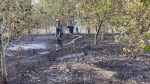 Cháy lớn thiêu rụi 3 ha điều đang thu hoạch ở Lộc Ninh, Bình Phước
