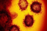 SCMP: Phát hiện SARS-COV-2 có đột biến gen giống HIV và Ebola, hứa hẹn tìm ra cách chữa trị hiệu quả