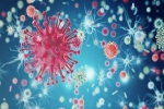Chuyện kể từ phòng thí nghiệm nghiên cứu virus cúm: Những đặc tính 'kỳ lạ' của 'con cúm'