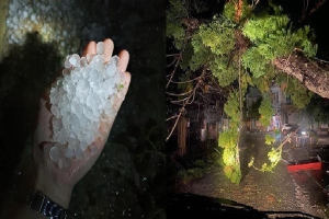 Mưa đá bất ngờ đổ bộ ở Lào Cai, Yên Bái: Hạt mưa to như viên bi, gió quật đổ cây, làm lật mái nhà
