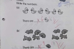 Câu trả lời bài toán đếm số vịt của bé lớp 1 gây tranh cãi