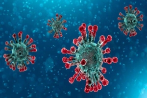 Tây Ban Nha công bố ca tử vong đầu tiên vì virus corona