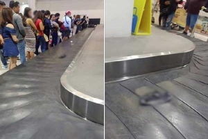 Nhìn vật thể lạ trôi qua lại trên băng hành lý, hàng trăm hành khách ở sân bay ngơ ngác không ai dám nhận