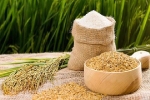 Việt Nam tạm dừng xuất khẩu gạo từ hôm nay