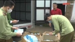 Hưng Yên: Pháthiện vụ vận chuyển khẩu trang không nhãn mác