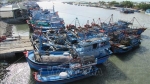 Ninh Thuận nỗ lực hoàn tất gắn thiết bị giám sát hành trình cho 100% tàu cá trong tháng 4/2020