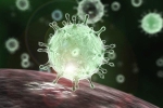 Cần biết những điều virus 'sợ' để tránh lây nhiễm SARS-CoV-2