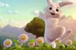 Truyện cổ tích: Thỏ con nhận được hoa hướng dương