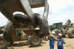 Thiên nhiên kì bí: Khám phá nơi trú ngụ của siêu quái thú trăn khổng lồ nặng hơn 500 kg