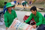 Trung Quốc tăng mua gạo Việt gấp 7 lần