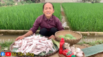 Bắc Giang: Bà Tân Vlog làm món ăn vặt mới cực ngon nhưng vẫn có cư dân mạng kêu 
