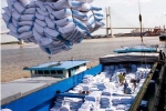 'Xù' hợp đồng bán gạo dự trữ, doanh nghiệp đăng ký xuất khẩu cả ngàn tấn