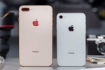 Ra mắt iPhone SE mới, Apple thẳng tay 'khai tử' 2 mẫu iPhone cũ