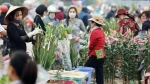 Hà Nội: Bốn ca dương tính test nhanh ở chợ hoa Mê Linh không mắc COVID-19