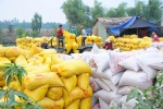 Bộ Tài chính đề nghị Bộ Công an điều tra việc 'trục lợi chính sách' quản lý xuất khẩu gạo