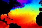 Giữa đại dịch, các đại dương nóng lên chưa từng thấy