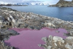 Ao nước giữa Nam Cực đột nhiên chuyển thành màu tím, khoa học bất ngờ và đến giờ vẫn chưa hiểu tại sao