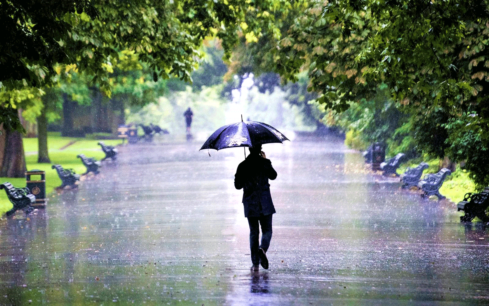 Много дождей. Дождливый сентябрь. Природа дождь и человек. Природа под дождем. Дождь люди ул красная.