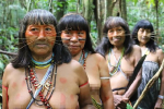 Bên trong bộ lạc sống giữa rừng Amazon, phụ nữ để ngực trần mơn mởn và xỏ mũi như mèo
