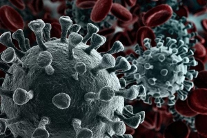 Phát hiện mới về biến thể áp đảo nhất của virus corona trên toàn cầu