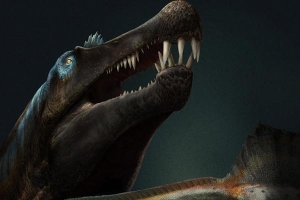 Tìm thấy hóa thạch loài khủng long kỳ lạ có thể bơi trong nước