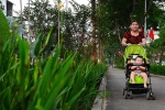 Đường đi bộ tràn cây xanh mới xuất hiện ở Hà Nội