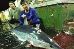 Ngư dân Indonesia kể lại cảnh 'địa ngục' trên tàu cá TQ