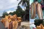 Bánh mì dài 1 m, nặng 3 kg ở An Giang gây chú ý cộng đồng mạng