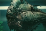 Piranha: Loài cá chỉ vì có lực cắn mạnh gấp 3 lần cá sấu mà mang nhiều tiếng xấu