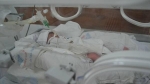 Phú Thọ: 3 bé sinh non cùng một ngày, tình trạng rất yếu