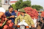 Bắc Giang: Hơn 200 người Trung Quốc 'xin' đến Lục Ngạn thu mua vải thiều