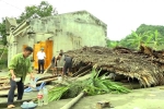 Tuyên Quang: Mưa giông khiến 1 người bị thương, hơn 200 ngôi nhà bị hư hỏng