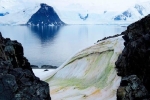 Biến đổi khí hậu khiến tuyết ở Nam Cực chuyển màu xanh lá