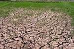 Quảng Ngãi: Hạn hán kéo dài, hơn 1.000ha đất sản xuất nông nghiệp bỏ hoang
