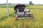 Nông nghiệp Hà Nội tăng tốc sau dịch Covid-19