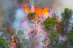 Cháy rừng tràm hơn 3 tiếng sát sân bay Đà Nẵng, 5.000 m2 bị thiêu rụi