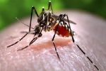 Cập nhật thông tin về bệnh nhân nhiễm Zika tại Đà Nẵng